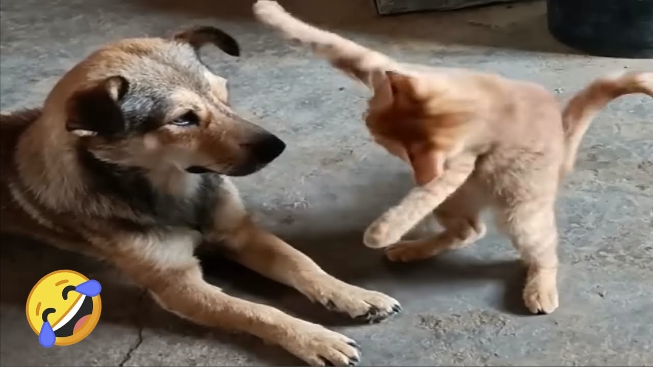 LOL, When You Have A NaugHty FFriend!