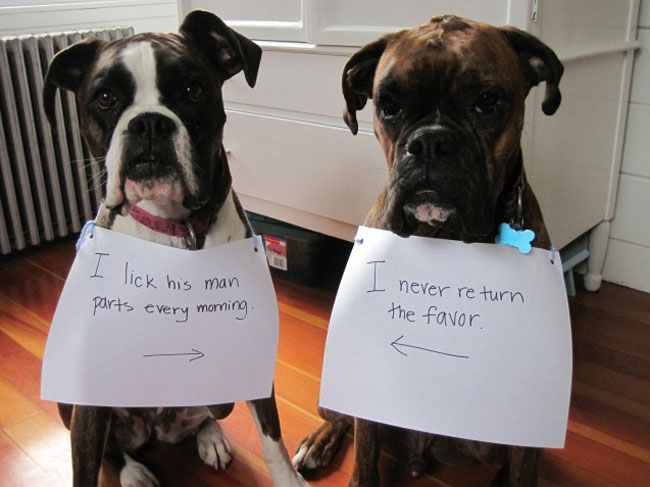 Who Did This?? This Is HILARIOUS!!