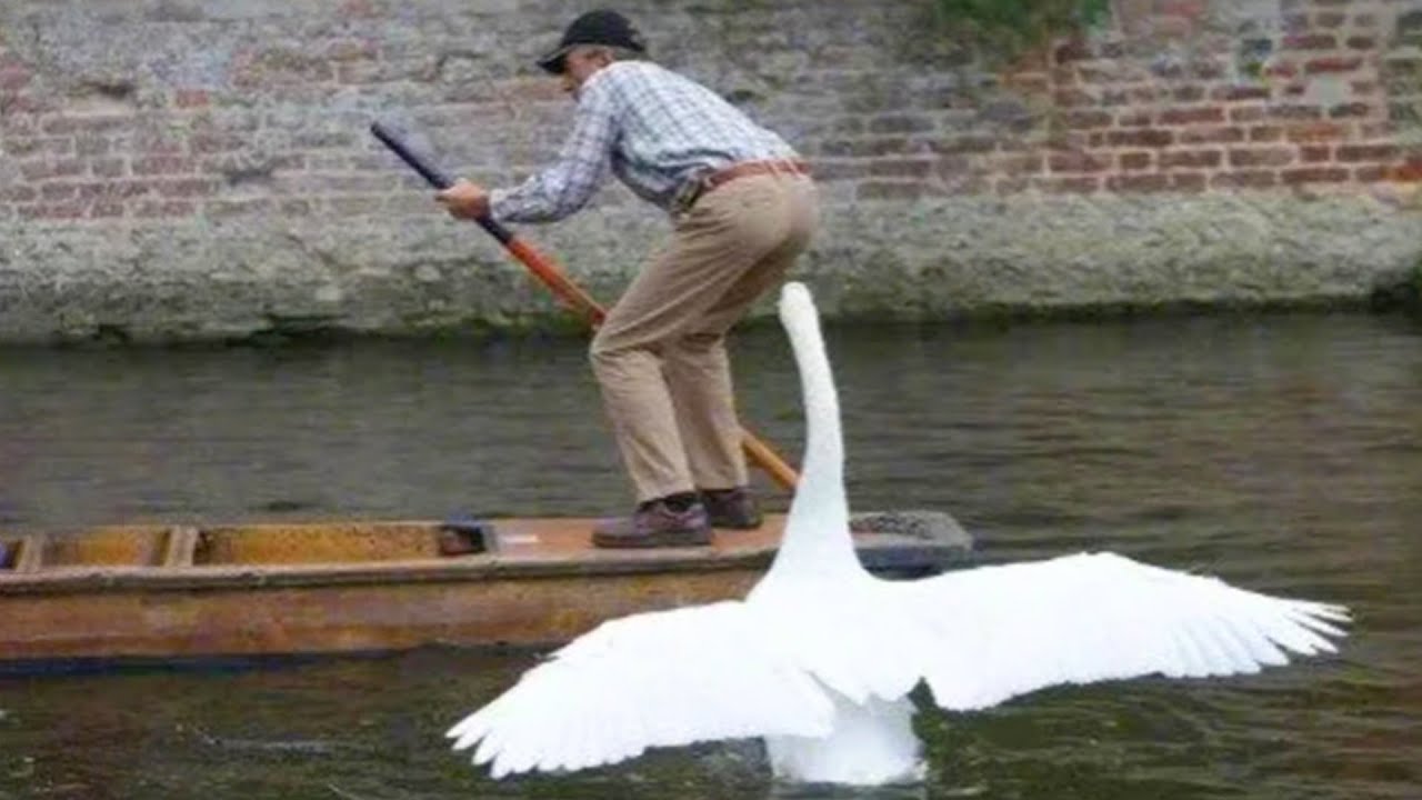 Kids Caught Doing Funny Fails