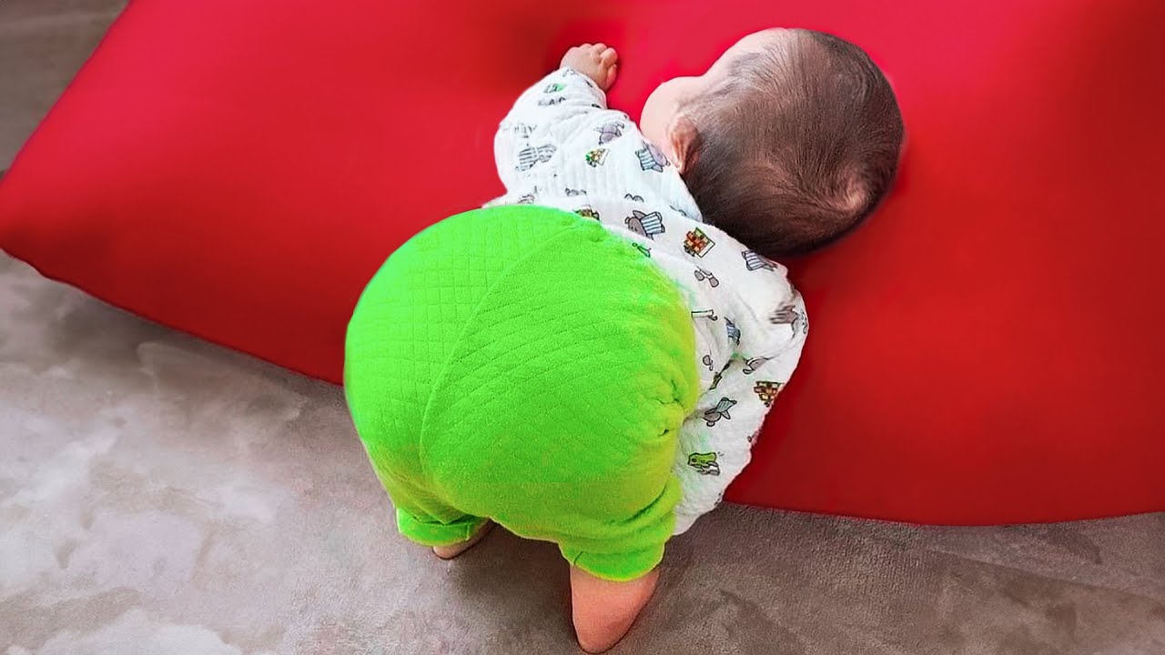 Adorable Chubby Babies Do Funny Things On Internet - Funny Baby Videos || COOL PEACHY
