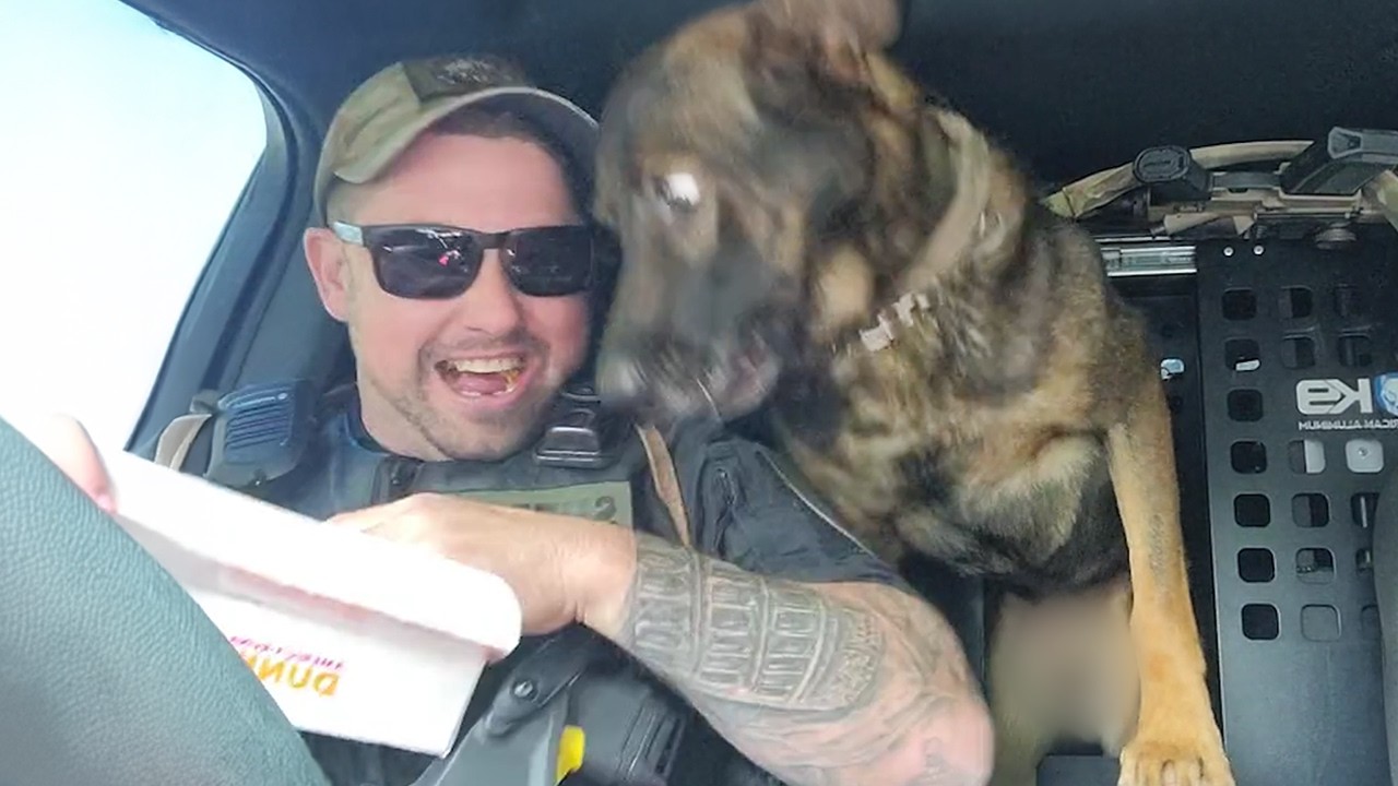 When Police Dogs Forget Their Job π Funny Dog Videos 2025