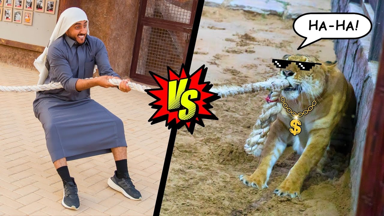 Osama Aldghiri’s Funniest Dubai Adventures! 🦁🤣 Wild Fun with Animals! #dubai #funny #wildlife