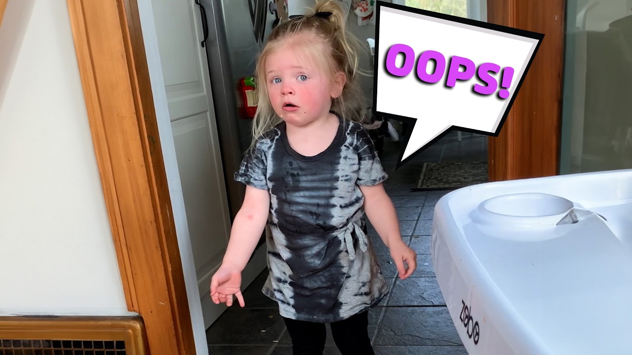 Wait! I Can Explain! 😬 Funniest Quotes of Troublemaking Kids!